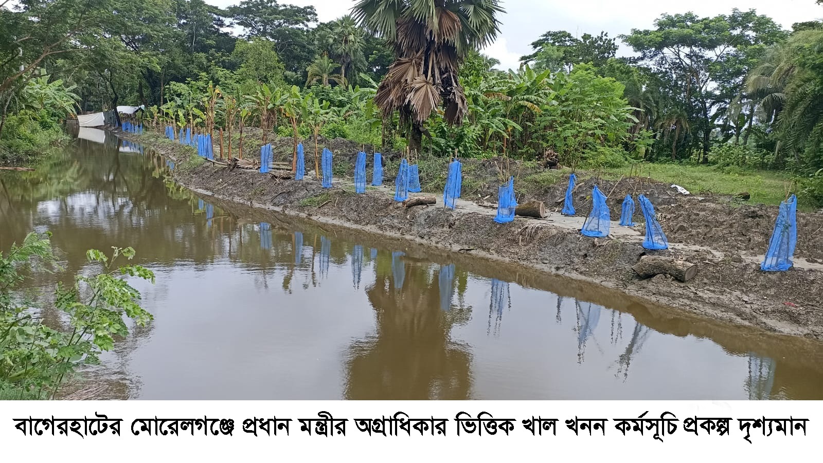 মোরেলগঞ্জে খাল পুনঃখনন শেষে সরকারি কোষাগারে ফেরত প্রায় ৫৬ লাখ টাকা